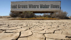 Food grows where water flows