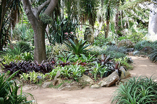 succulent gardens